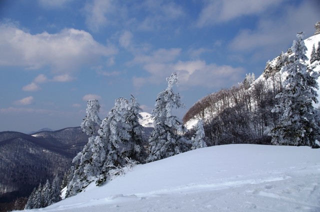 Crni Lug - Veliki Risnjak(HR) - 25.3.2018 - foto