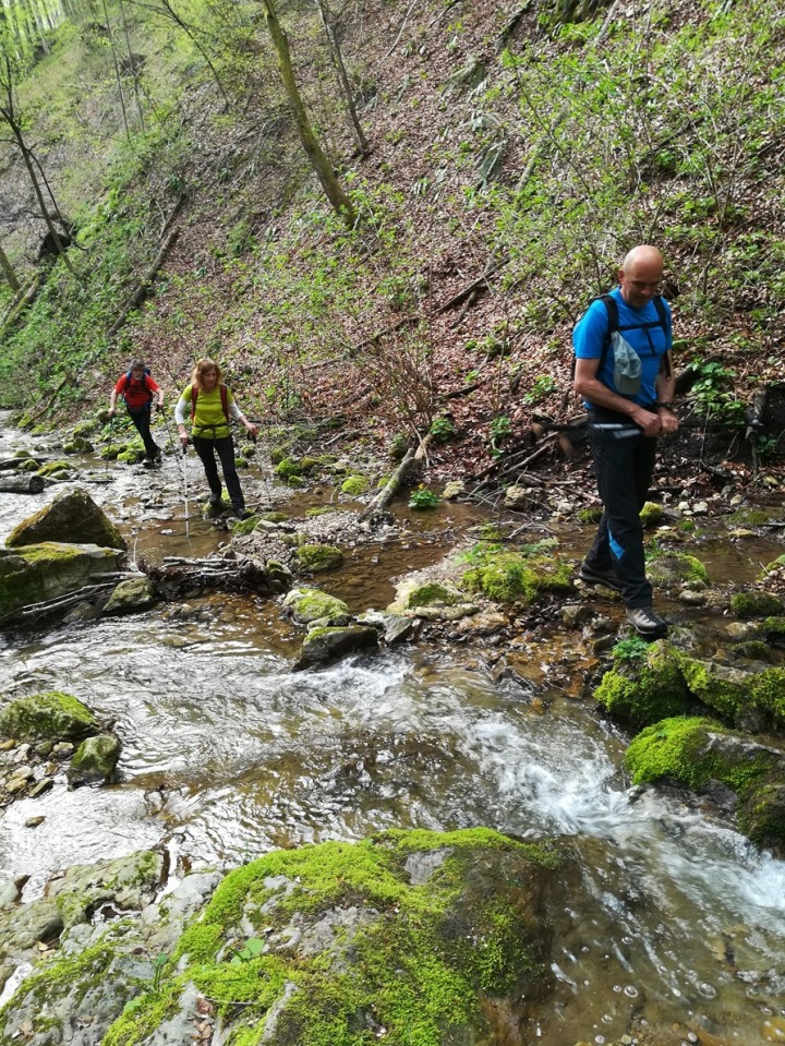 Jablance-Bohorski slap.-V. Javornik-15.4.2018 - foto povečava