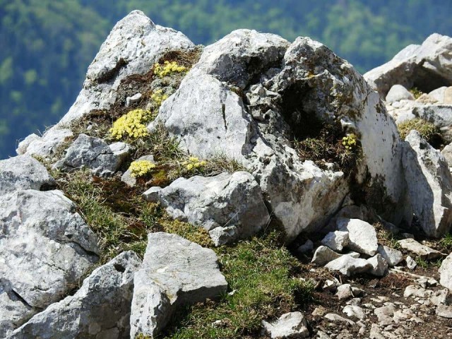 Ljubelj-Begunjščica-Roblekov dom-29.4.2018 - foto