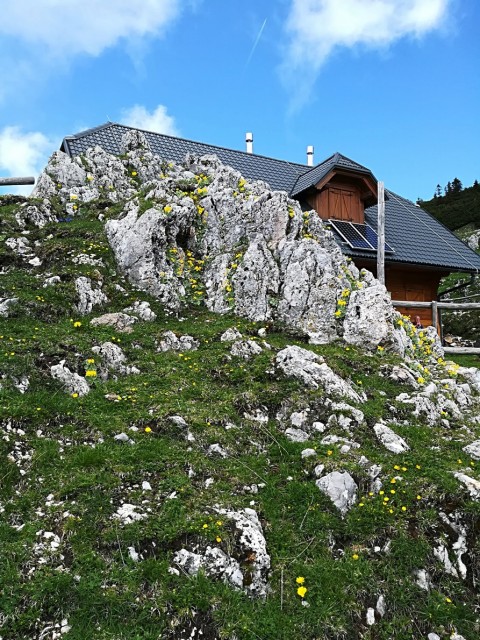 Pusti Rovt-Lovska pot-Struška-Golica-13.5.18 - foto