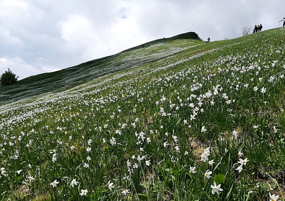 Pusti Rovt-Lovska pot-Struška-Golica-13.5.18 - foto povečava