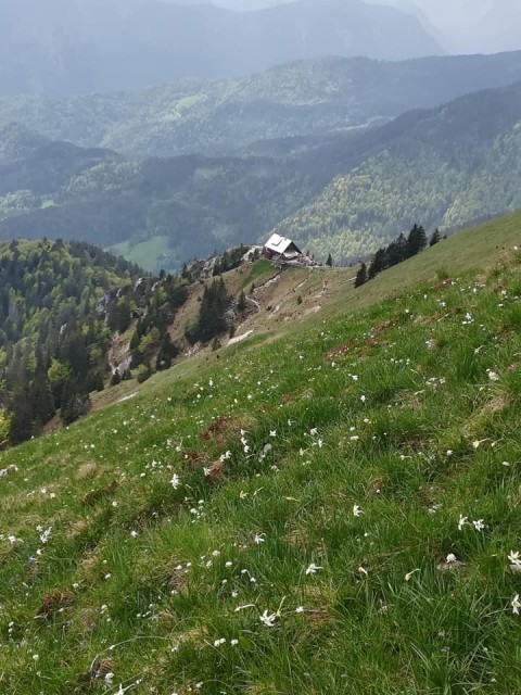 Pusti Rovt-Lovska pot-Struška-Golica-13.5.18 - foto