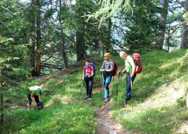 Erjavčev rovt-Gubno-Kepa - 27.5.2018 - foto