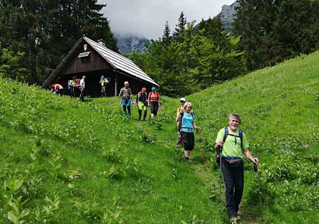 Erjavčev rovt-Gubno-Kepa - 27.5.2018 - foto