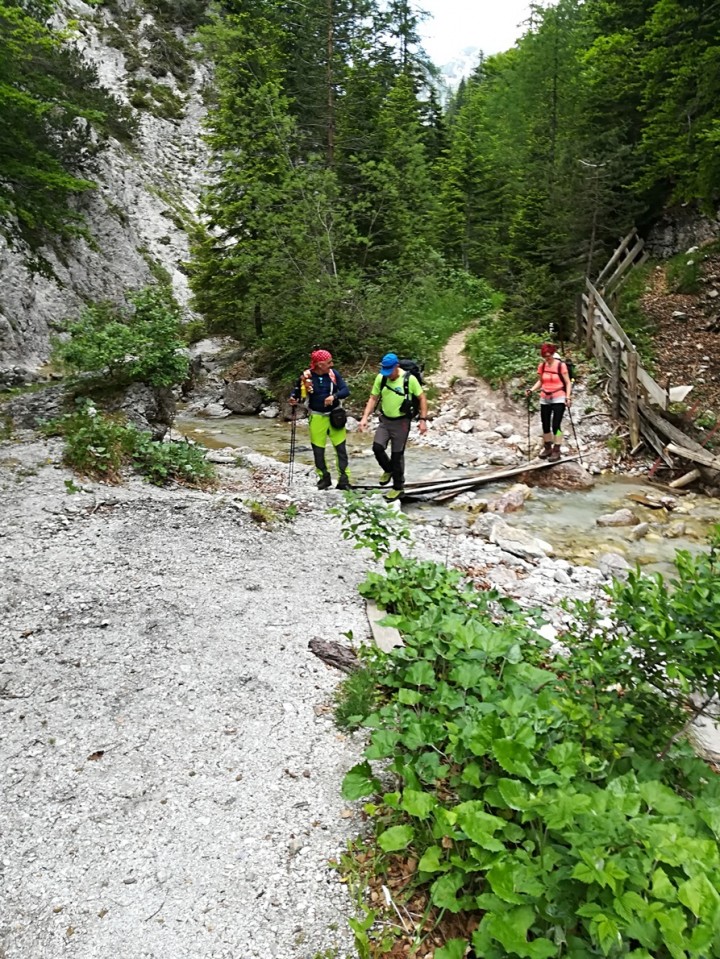 Erjavčev rovt-Gubno-Kepa - 27.5.2018 - foto povečava