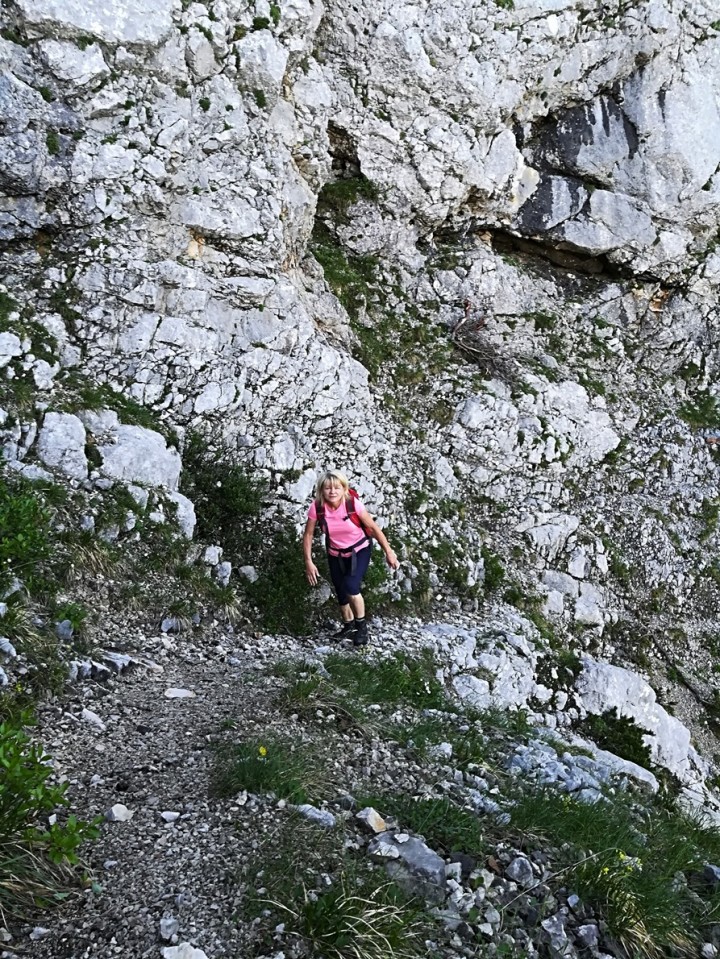 Podvežak-lovska-Lučki dedec-Deska-10.6.2018 - foto povečava