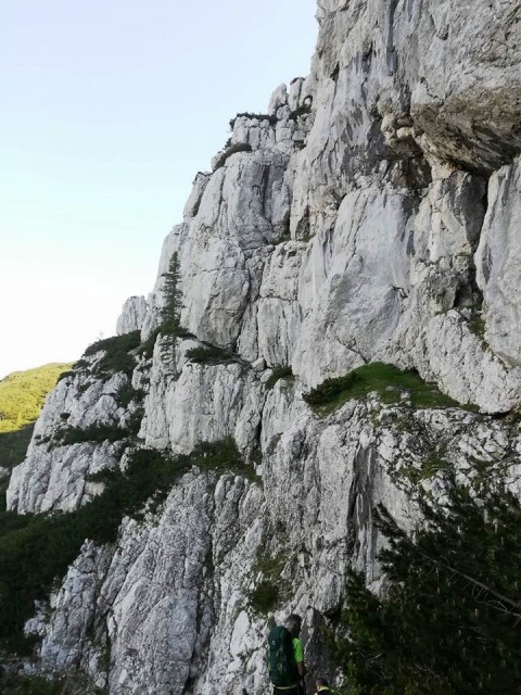 Podvežak-lovska-Lučki dedec-Deska-10.6.2018 - foto