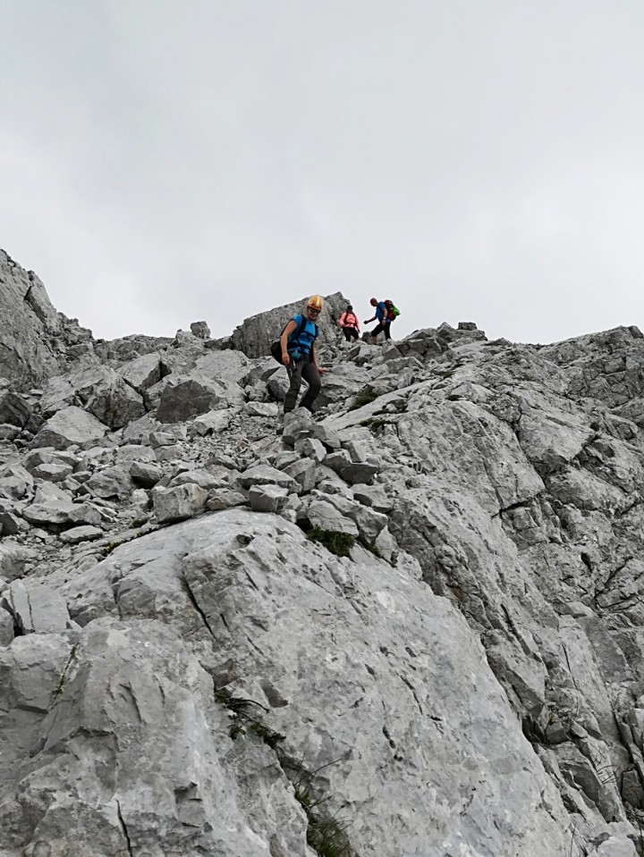 Zelenica-Palec-Zelenjak-Vrtača-17.6.2018 - foto povečava