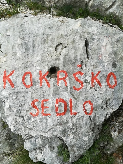 Žagana peč-Kalška gora-Grintovec-1.7.2018 - foto