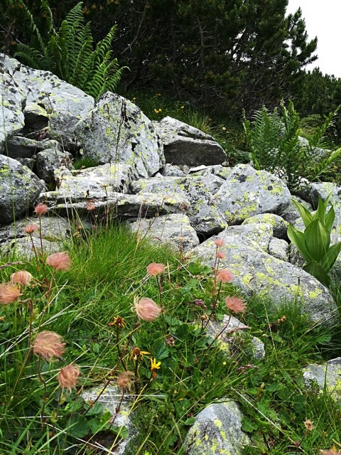Treking potovane po Bolgariji - 13.-20.7.2018 - foto