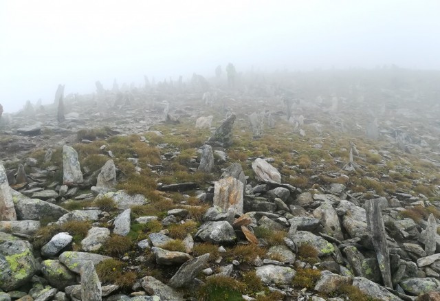 Malta-Kattowitzer Hütte-Großer Hafner-15.8.18 - foto