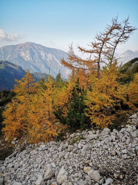 Koča pod Košuto-Cjajnik-Košut.turn-13.10.2018 - foto