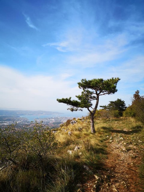 Glinščica-ferate in Comicijev greben-4.11.18  - foto