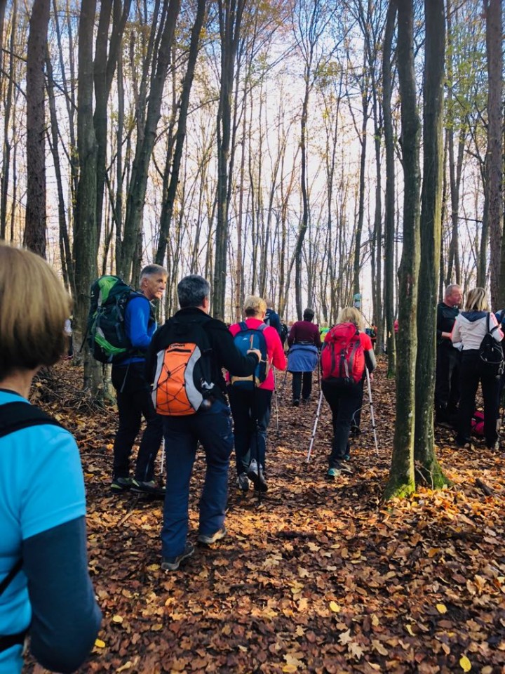 32.Pohod od Litije do Čateža - 10.11.2018 - foto povečava