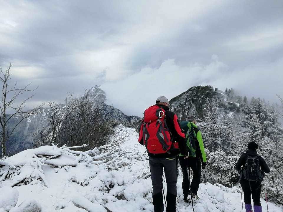 Gozd-Kriška gora-Tolsti vrh - 8.12.2018 - foto povečava