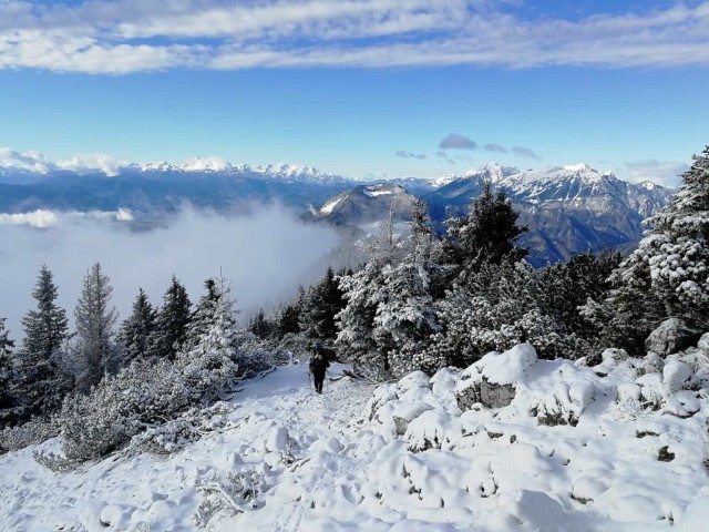 Gozd-Kriška gora-Tolsti vrh - 8.12.2018 - foto