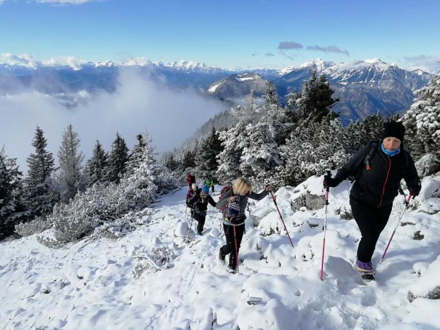 Gozd-Kriška gora-Tolsti vrh - 8.12.2018 - foto