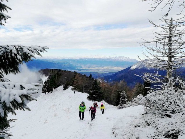 Gozd-Kriška gora-Tolsti vrh - 8.12.2018 - foto