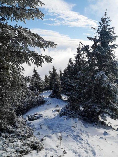 Gozd-Kriška gora-Tolsti vrh - 8.12.2018 - foto