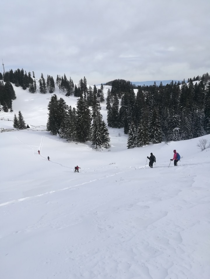 Okrog-Vivodnik-Dom na Menini-Biba-27.1.2019 - foto povečava