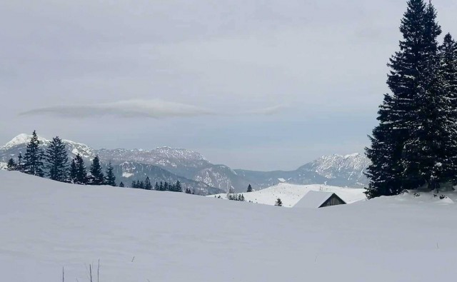 Okrog-Vivodnik-Dom na Menini-Biba-27.1.2019 - foto