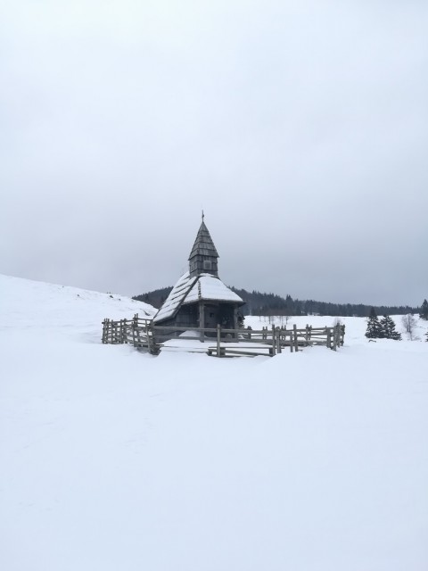 Okrog-Vivodnik-Dom na Menini-Biba-27.1.2019 - foto