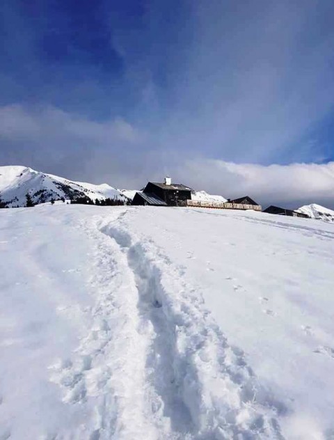 Matizovec-Kofce-Veliki vrh - 8.2.2019 - foto