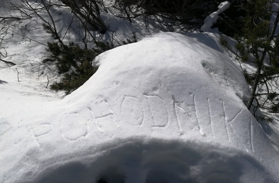 Radušnik-Koča na Loki-Raduha - 24.2.2019 - foto povečava