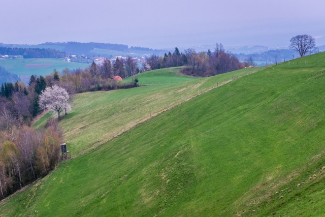 Pohod z Matejo - Bistriški Vintgar - 13.4.19 - foto