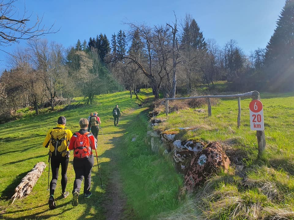 Po Medvedovih stopinjah - 20.4.2019 - foto povečava