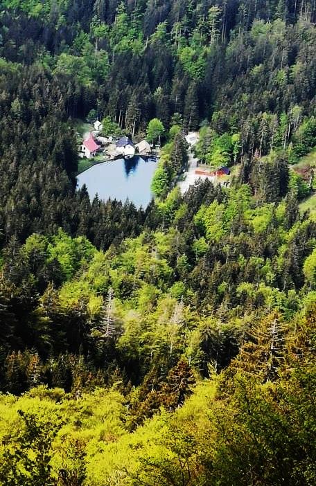 Javorniški Rovt-Struška-Golica-26.5.2019 - foto