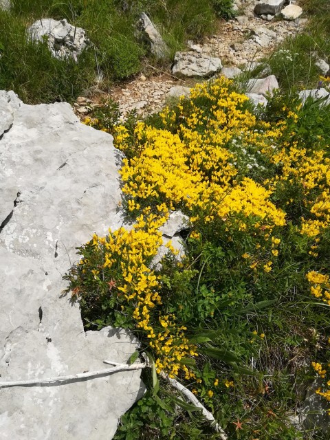 Južni Velebit-Paklenica-Crnopac - 6.-9.6.2019 - foto