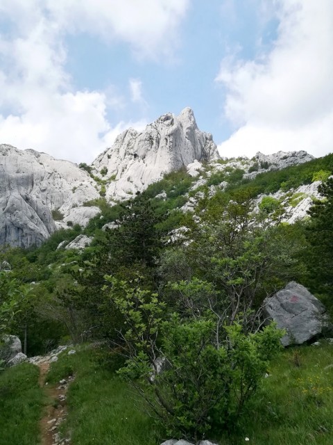 Južni Velebit-Paklenica-Crnopac - 6.-9.6.2019 - foto