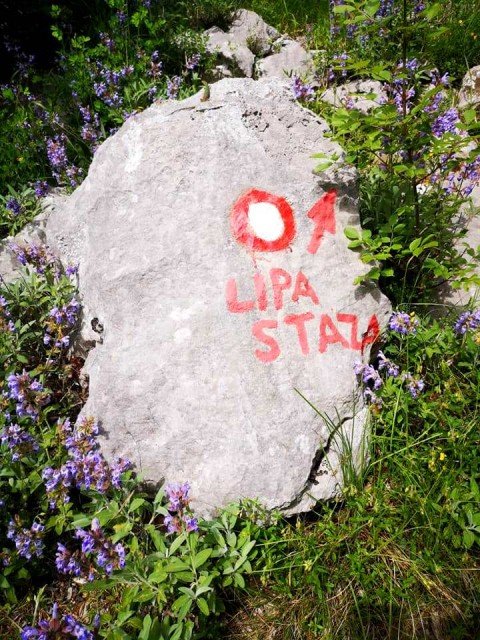 Južni Velebit-Paklenica-Crnopac - 6.-9.6.2019 - foto