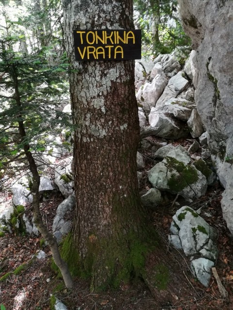 Južni Velebit-Paklenica-Crnopac - 6.-9.6.2019 - foto