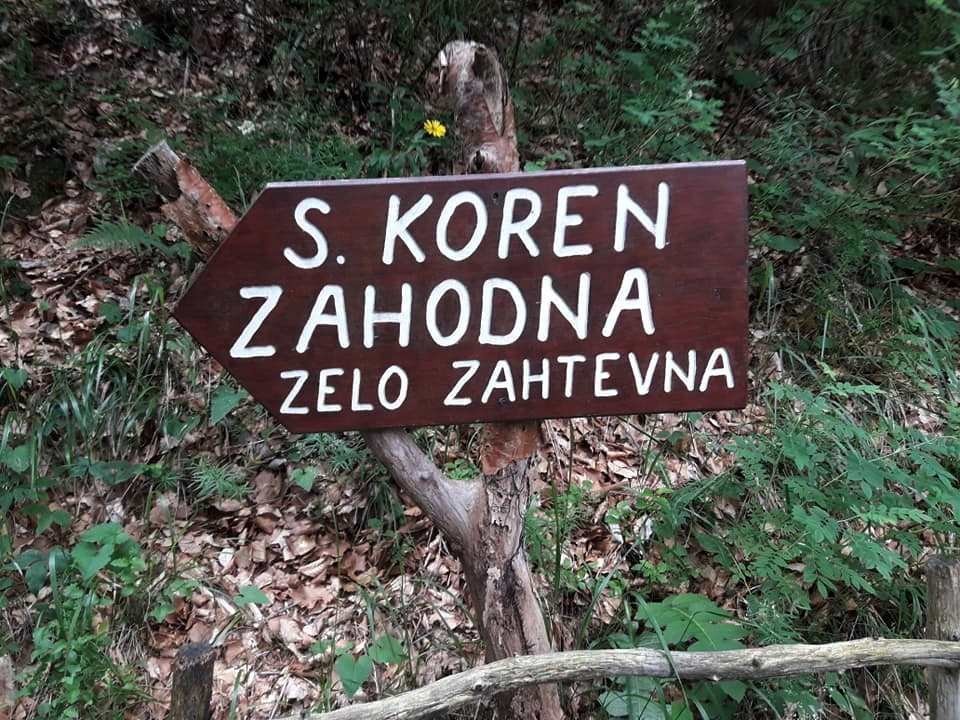 Drežnica-Pot Silva Korena-Krn - 6.7.2019 - foto povečava