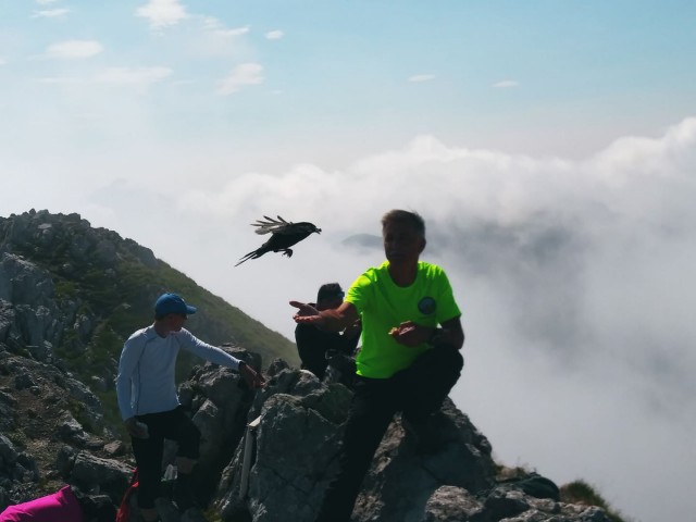 Ljubelj-Zelenica-Vrtača+FerataSp.plot-28.7.19 - foto