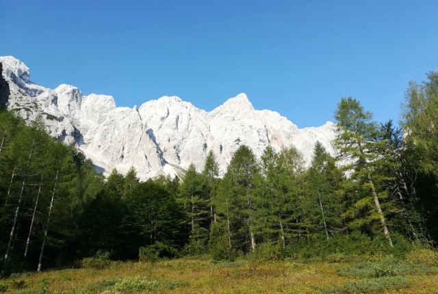 Rinka-Turska gora-Brana-Kamniško sedlo-1.9.19 - foto