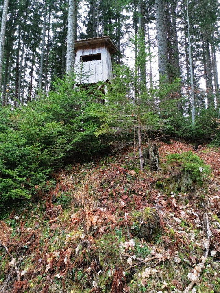 Zaključni pohod Luče-Raduha-Loka-30.11.2019 - foto povečava