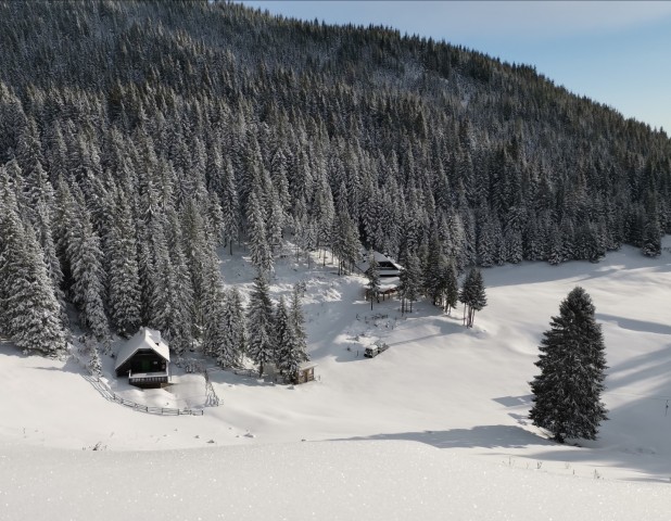 Mozirska koča-Dom na Smrekovcu - 14.12.2019 - foto