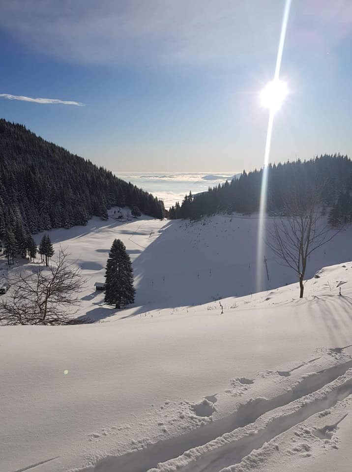 Mozirska koča-Dom na Smrekovcu - 14.12.2019 - foto povečava