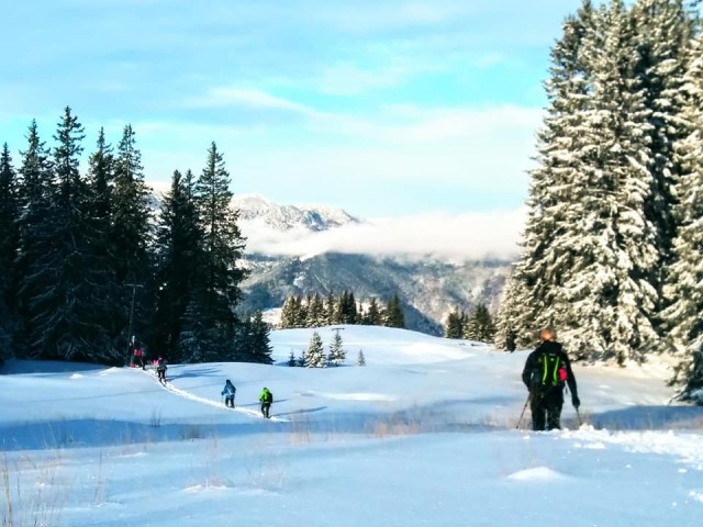 Mozirska koča-Dom na Smrekovcu - 14.12.2019 - foto