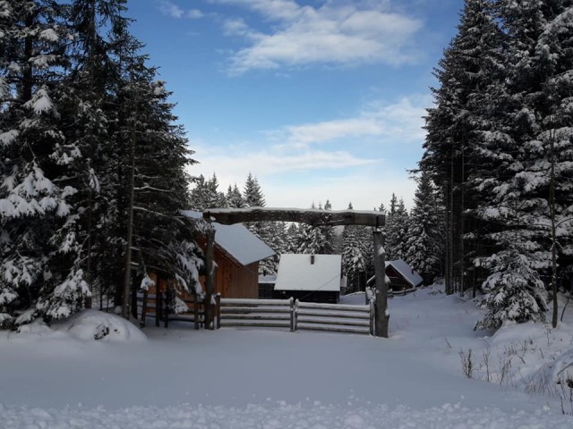 Mozirska koča-Dom na Smrekovcu - 14.12.2019 - foto