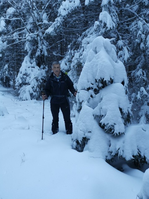 Mozirska koča-Dom na Smrekovcu - 14.12.2019 - foto