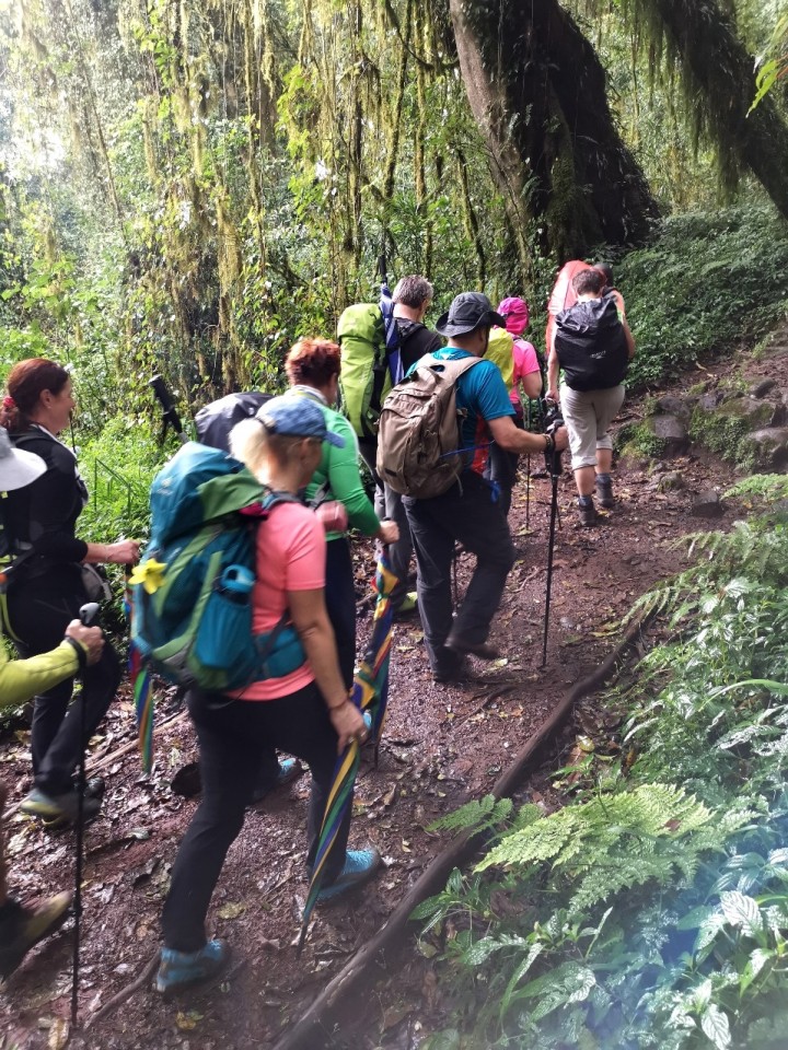 Treking Kilimanjaro(Tanzanija)-5.1.-15.1.2020 - foto povečava