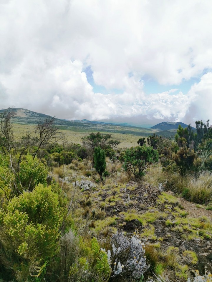 Treking Kilimanjaro(Tanzanija)-5.1.-15.1.2020 - foto povečava