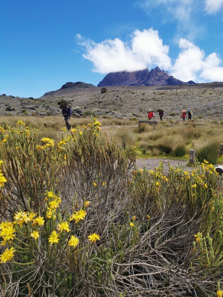 Treking Kilimanjaro(Tanzanija)-5.1.-15.1.2020 - foto povečava