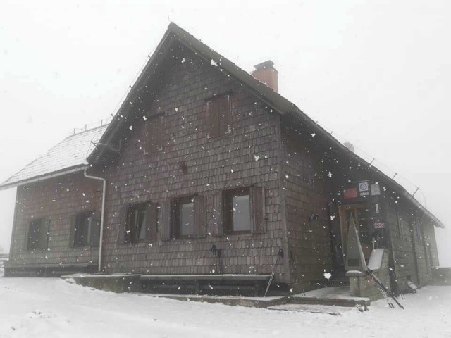 Prtovč-Razor-Gladki vrh(Ratitovec)-26.1.2020 - foto