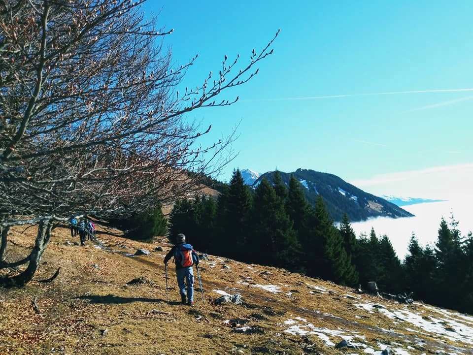 Gozd-Kriška gora-Tolsti vrh-2.2.2020 - foto povečava