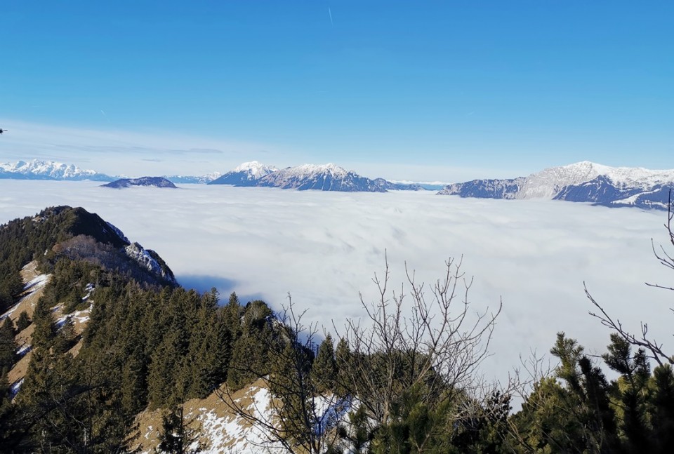 Gozd-Kriška gora-Tolsti vrh-2.2.2020 - foto povečava